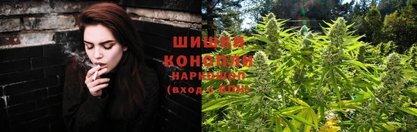 ГАЛЛЮЦИНОГЕННЫЕ ГРИБЫ Алзамай